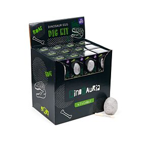 Régészeti Készlet - Dinoszaurusz Bébi a Tojásban