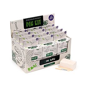 Régészeti Készlet - Dinoszaurusz Koponyák