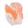 Hajcsat - Lazac Sushi - Foodiemals