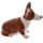 Só-Bors Szett - Királynő és Corgi Kutya