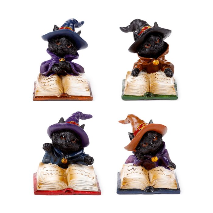 Boszorkány Fekete Macska a Mágikus Varázskönyvből Olvas