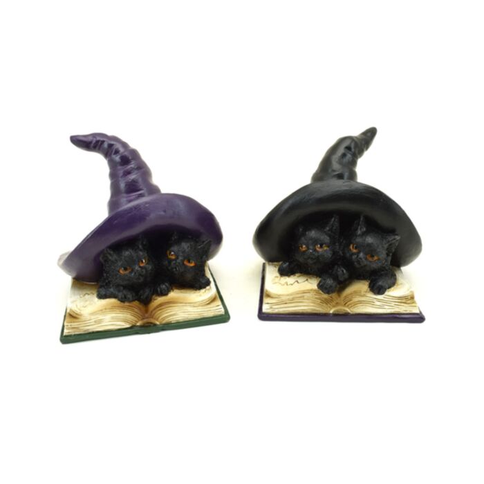 Boszorkány Fekete Macskák Varázslatokat Tanulnak