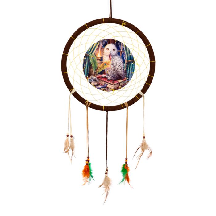 Álomfogó - Bagoly - Guardian Of Spells Owl - Lisa Parker - 33cm