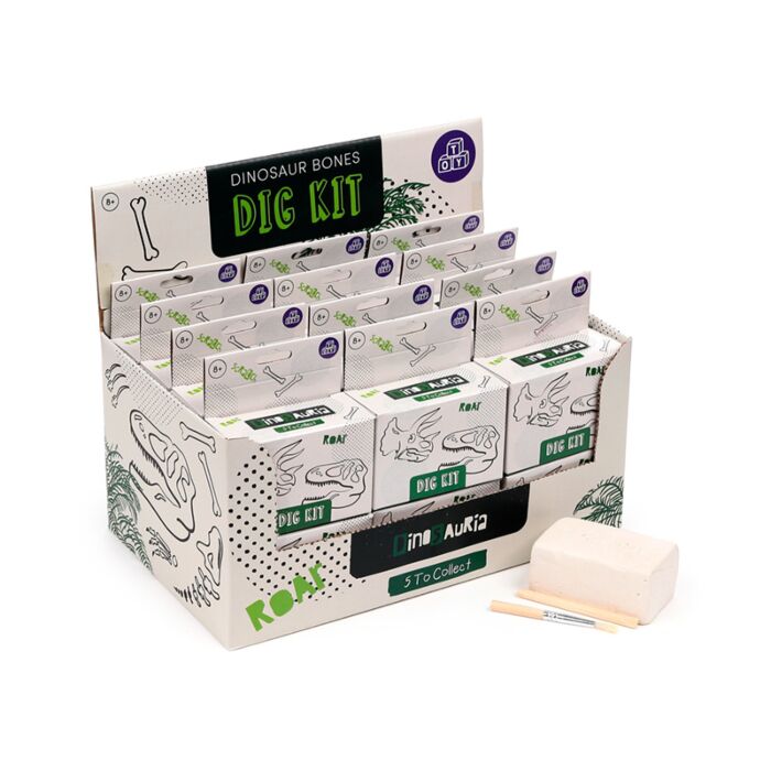 Régészeti Készlet - Dinoszaurusz Koponyák
