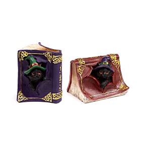 Csintalan Boszorkány Fekete Macska a Varázskönyvben Csintalan Boszorkány Fekete Macska a Varázskönyvben