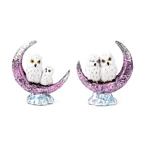 Bölcs Öreg Mágikus Bagoly - Baglyok a Félholdon