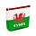 Pénztárca - Cymru - Walesi Sárkány