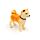 Állatos Hordozó Szett, 5db-os - Shiba Inu Kutya
